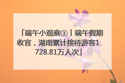 端午小观察③丨端午假期收官，湖南累计接待游客1728.81万人次