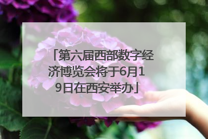 第六届西部数字经济博览会将于6月19日在西安举办