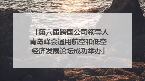 第六届跨国公司领导人青岛峰会通用航空和低空经济发展论坛成功举办