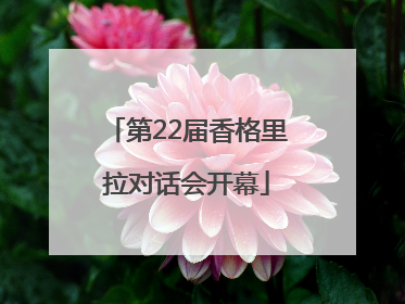 第22届香格里拉对话会开幕
