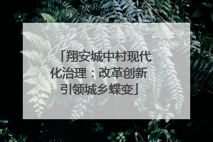 翔安城中村现代化治理：改革创新引领城乡蝶变