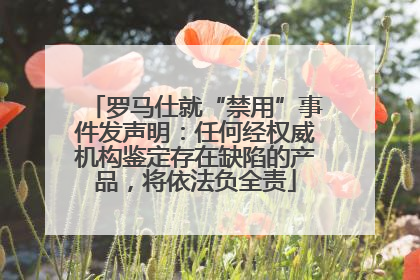 罗马仕就“禁用”事件发声明：任何经权威机构鉴定存在缺陷的产品，将依法负全责