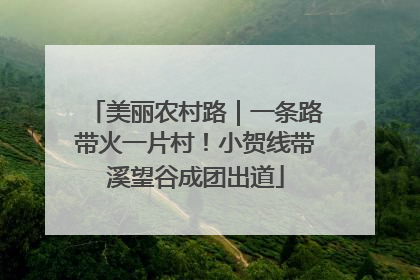 美丽农村路｜一条路带火一片村！小贺线带溪望谷成团出道