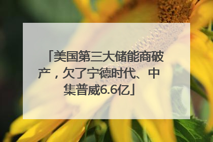 美国第三大储能商破产，欠了宁德时代、中集普威6.6亿