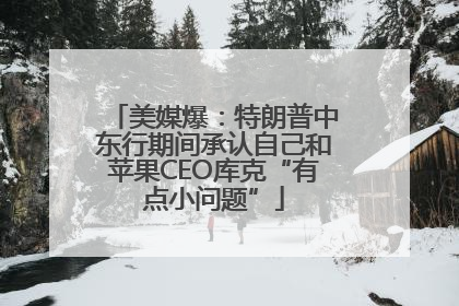 美媒爆：特朗普中东行期间承认自己和苹果CEO库克“有点小问题”