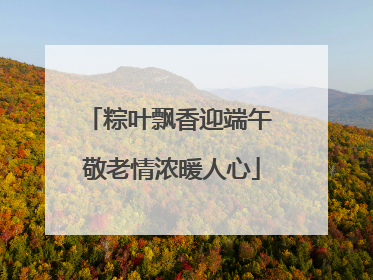 粽叶飘香迎端午 敬老情浓暖人心
