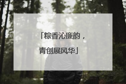 粽香沁廉韵，青创展风华