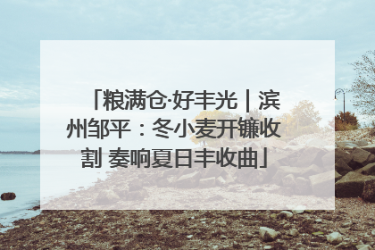 粮满仓·好丰光｜滨州邹平：冬小麦开镰收割 奏响夏日丰收曲