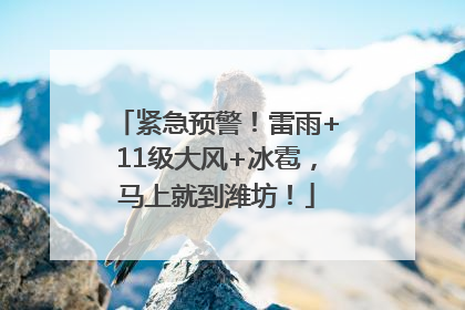 紧急预警！雷雨+11级大风+冰雹，马上就到潍坊！