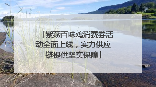 紫燕百味鸡消费券活动全面上线，实力供应链提供坚实保障