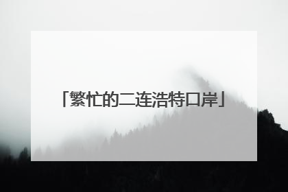 繁忙的二连浩特口岸