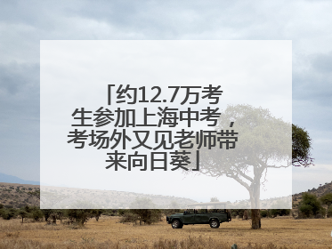 约12.7万考生参加上海中考，考场外又见老师带来向日葵