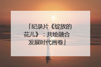 纪录片《绽放的花儿》：共绘融合发展时代画卷