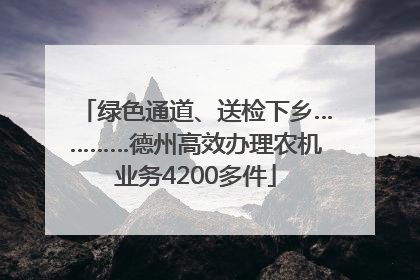 绿色通道、送检下乡…………德州高效办理农机业务4200多件