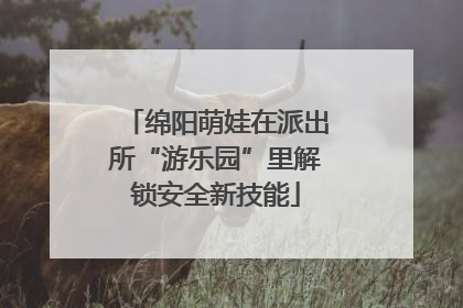 绵阳萌娃在派出所“游乐园”里解锁安全新技能