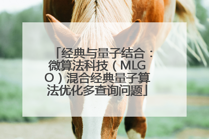 经典与量子结合：微算法科技（MLGO）混合经典量子算法优化多查询问题