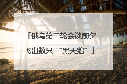 俄乌第二轮会谈前夕 飞出数只 “黑天鹅”