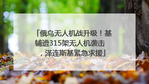 俄乌无人机战升级！基辅遭315架无人机袭击，泽连斯基紧急求援