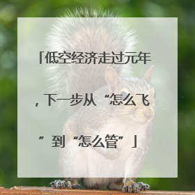 低空经济走过元年，下一步从“怎么飞”到“怎么管”