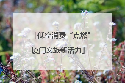 低空消费“点燃”厦门文旅新活力