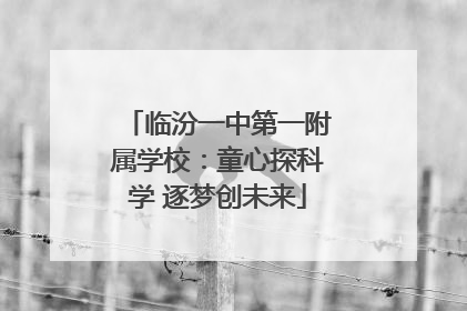 临汾一中第一附属学校：童心探科学 逐梦创未来