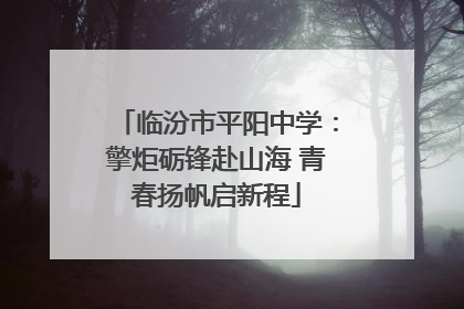 临汾市平阳中学：擎炬砺锋赴山海 青春扬帆启新程