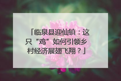 临泉县迎仙镇：这只“鸡”如何引领乡村经济展翅飞翔？