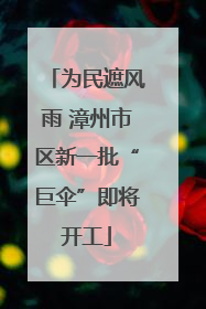 为民遮风雨 漳州市区新一批“巨伞”即将开工