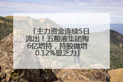 主力资金连续5日流出！五粮液集团掏6亿增持，持股微增0.12%显乏力