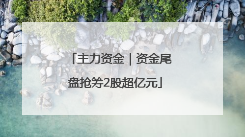 主力资金｜资金尾盘抢筹2股超亿元