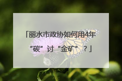 丽水市政协如何用4年“碳”讨“金矿”？