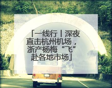 一线行丨深夜直击杭州机场，浙产杨梅“飞”赴各地市场