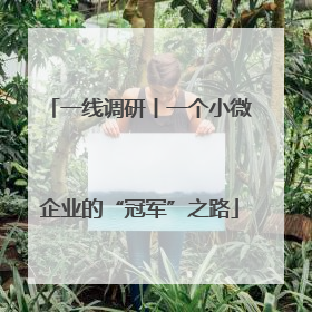 一线调研丨一个小微企业的“冠军”之路