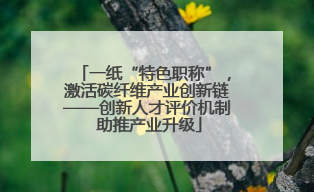 一纸“特色职称”，激活碳纤维产业创新链——创新人才评价机制 助推产业升级
