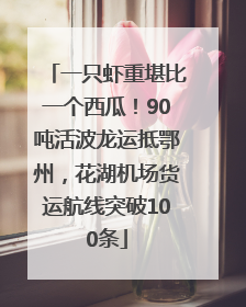 一只虾重堪比一个西瓜！90吨活波龙运抵鄂州，花湖机场货运航线突破100条
