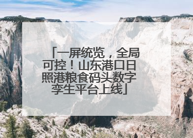 一屏统览，全局可控！山东港口日照港粮食码头数字孪生平台上线