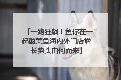 一路狂飙！鱼你在一起酸菜鱼海内外门店增长势头由何而来