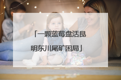 一颗蓝莓盘活昆明东川尾矿困局
