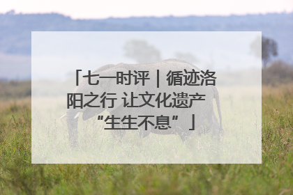 七一时评｜循迹洛阳之行 让文化遗产“生生不息”