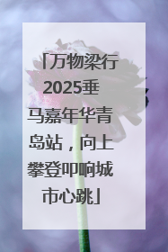 万物梁行2025垂马嘉年华青岛站，向上攀登叩响城市心跳