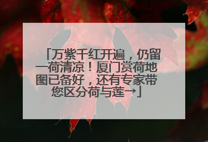万紫千红开遍，仍留一荷清凉！厦门赏荷地图已备好，还有专家带您区分荷与莲→