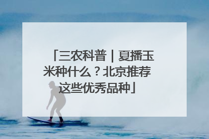 三农科普｜夏播玉米种什么？北京推荐这些优秀品种