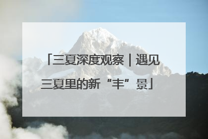三夏深度观察｜遇见三夏里的新“丰”景