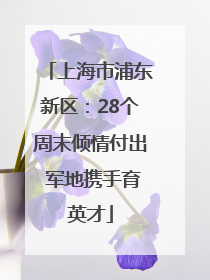上海市浦东新区：28个周末倾情付出 军地携手育英才