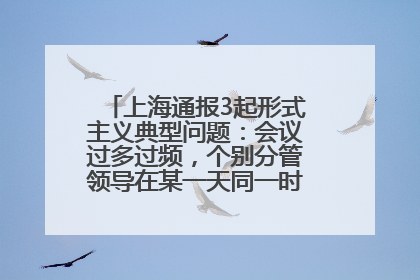 上海通报3起形式主义典型问题：会议过多过频，个别分管领导在某一天同一时段需参加3个会议