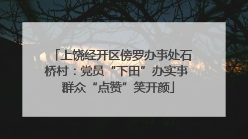 上饶经开区傍罗办事处石桥村：党员“下田”办实事 群众“点赞”笑开颜