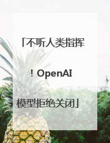 不听人类指挥！OpenAI模型拒绝关闭
