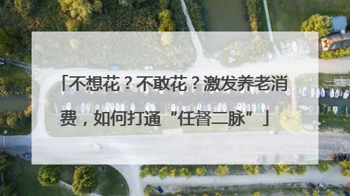 不想花？不敢花？激发养老消费，如何打通“任督二脉”