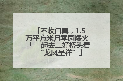 不收门票，1.5万平方米月季园爆火！一起去三好桥头看“龙凤呈祥”