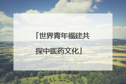 世界青年福建共探中医药文化